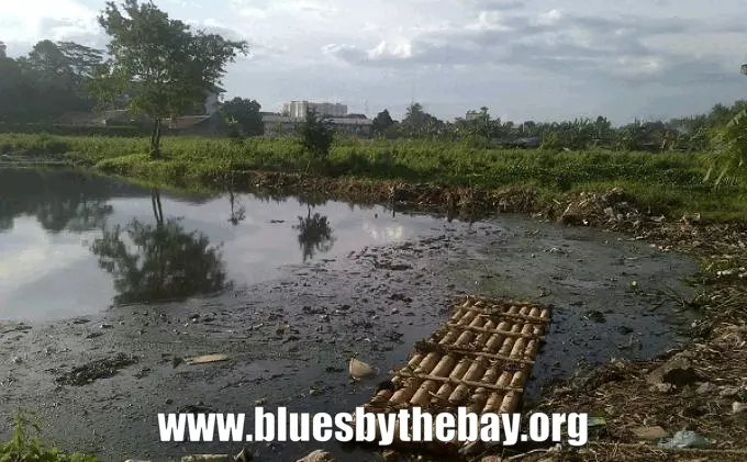 Sumber Uang Dari Ikan Terbuang